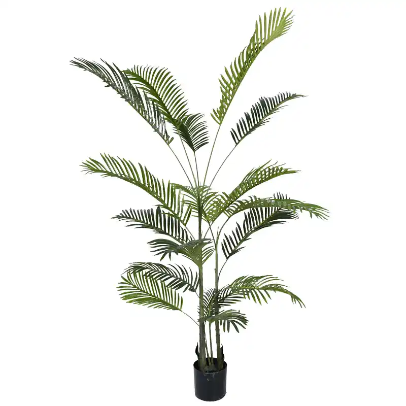 Reducere specială Planta decorativa Areca IIIghiveci, verde, H180cm