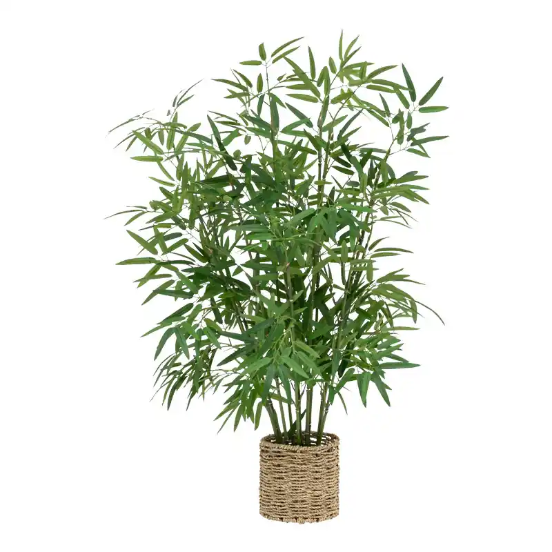 Super ofertă Planta ghiveci Belica, Verde, D45x100 cm